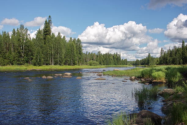 istock Shallows on Suna river, Karelia, Russia 470719645