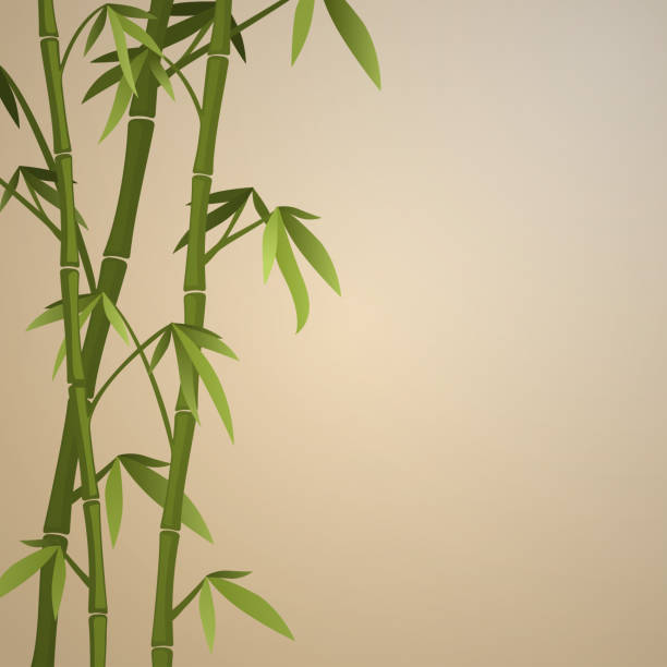 Background with bamboo stems vector art illustration