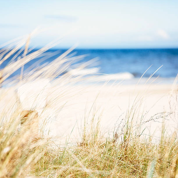 istock Day at the Baltic Sea 470721680