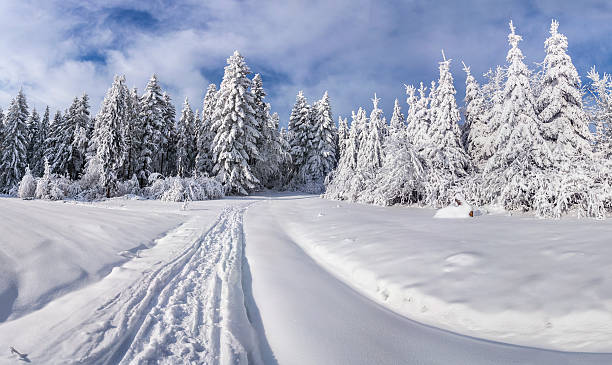 istock Winter landscape with fir-trees and fresh snow. 470723951