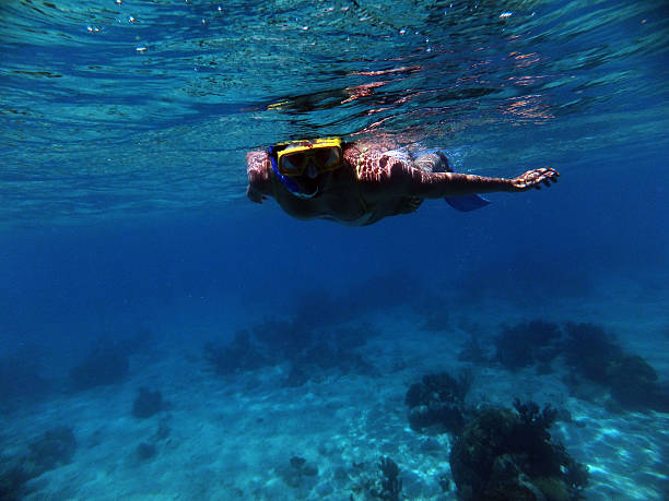 istock Coral Reef Snorkeling 470724726