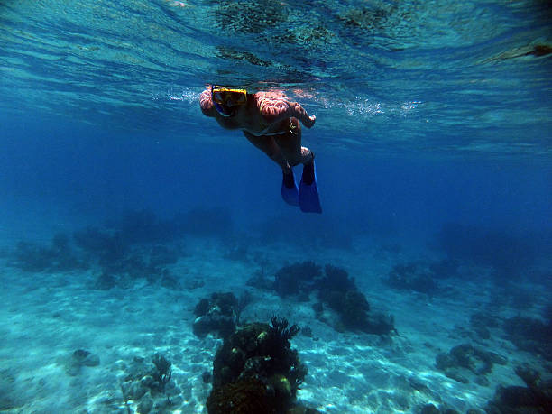istock Snorkeling in the Caribbean 470724728