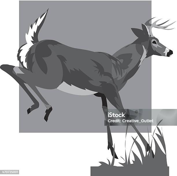 Whitetail Deer Stock Illustration - Download Image Now - White-Tailed Deer, Animal, Animal Wildlife