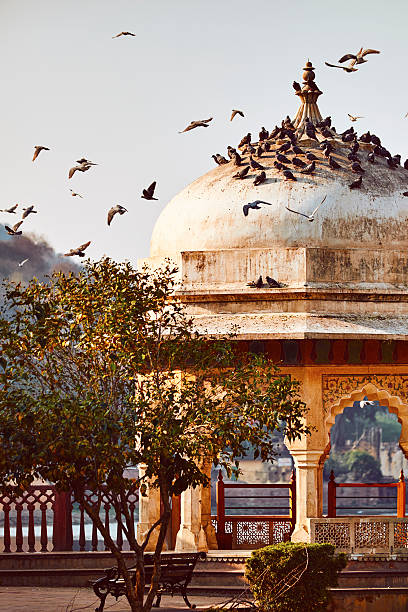 istock Pigeons sitting on a small minaret at Amber Fort 470725278