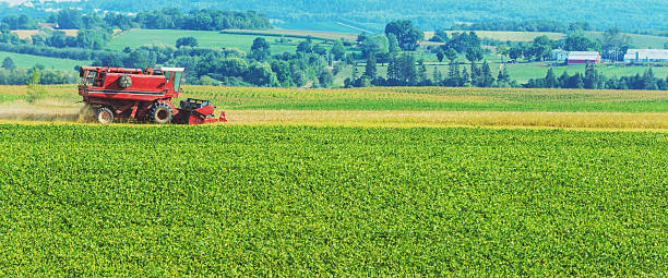 istock Combine Harvests Hay in the Distance 470735964