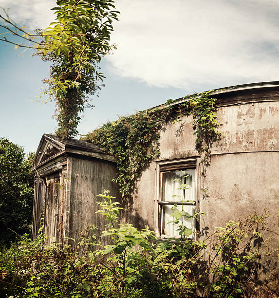 istock Abandoned Home Overtaken by Ivy 470735994