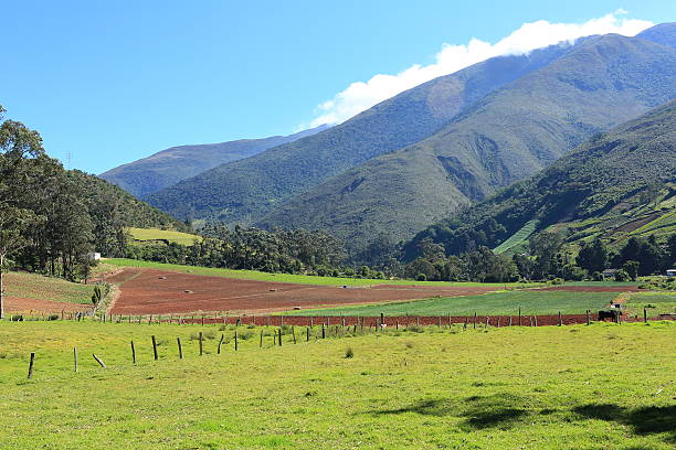 istock Cultivated Land Farm at the Mountains 470741383