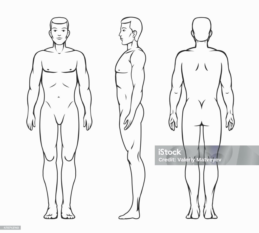 Männliche Körper Vektor-illustration - Lizenzfrei Menschlicher Körper Vektorgrafik