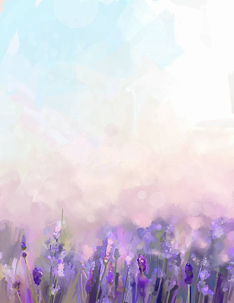 ilustraciones, imágenes clip art, dibujos animados e iconos de stock de pintura de flores de lavanda de aceite en las praderas. - backgrounds flower head blossom vibrant color