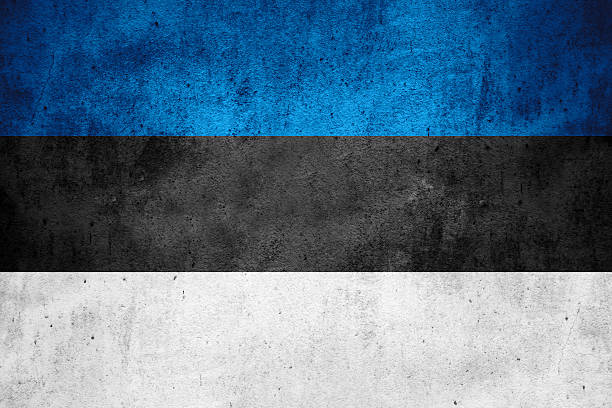 flag of Estonia or Estonian banner on rough pattern texture background