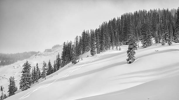 istock Ski tracks in Jackson Hole backcountry 470746169