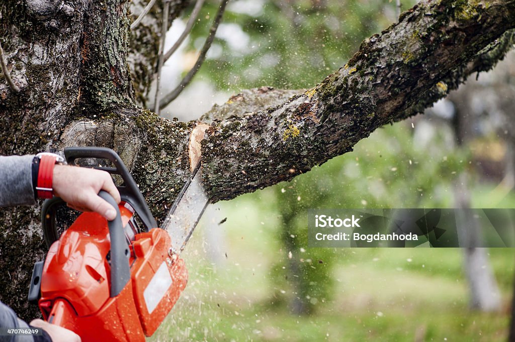 man cutting trees using an electrical chainsaw and professional man cutting trees using an electrical chainsaw and professional tools Tree Stock Photo