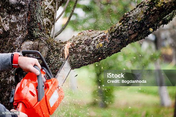 Man Cutting Trees Using An Electrical Chainsaw And Professional Stock Photo - Download Image Now
