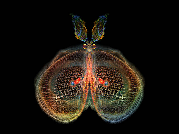 istock Elegance of Butterfly 470746667