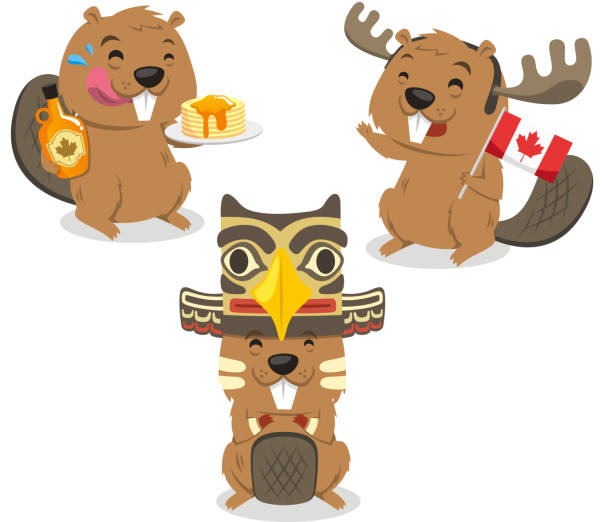 ilustrações de stock, clip art, desenhos animados e ícones de canadá castor segurando bandeira do canadá - flag canada canadian flag maple leaf