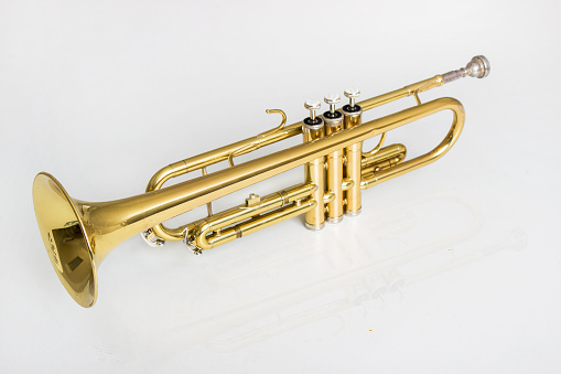 new trumpet on white background