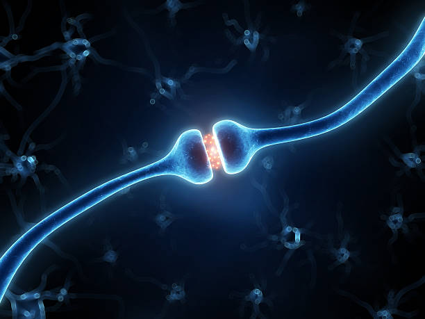 istock Graphic animation of two active receptors 470751889