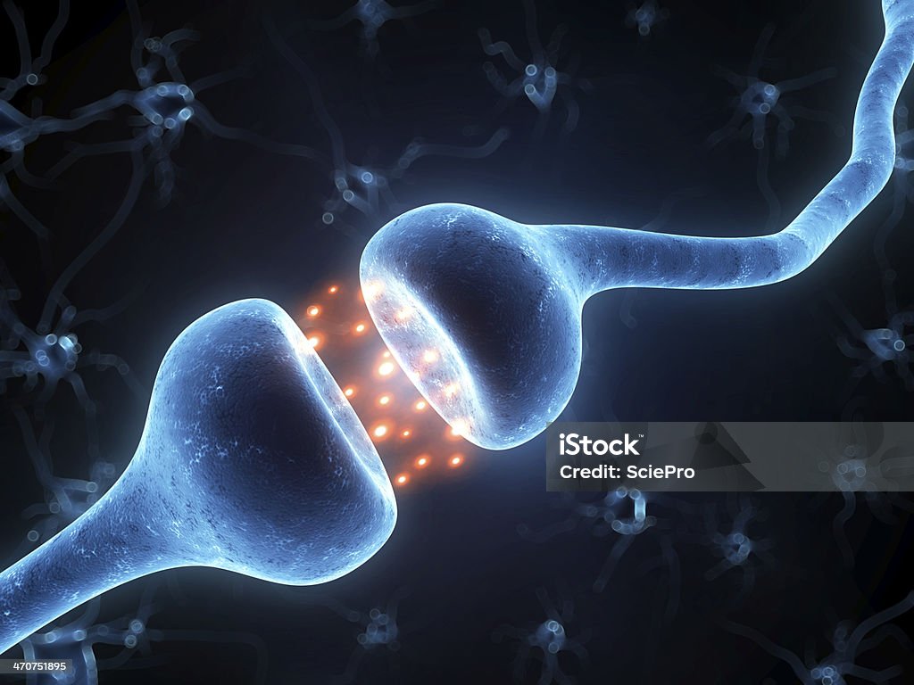 Aktywne receptor - Zbiór zdjęć royalty-free (Anatomia człowieka)