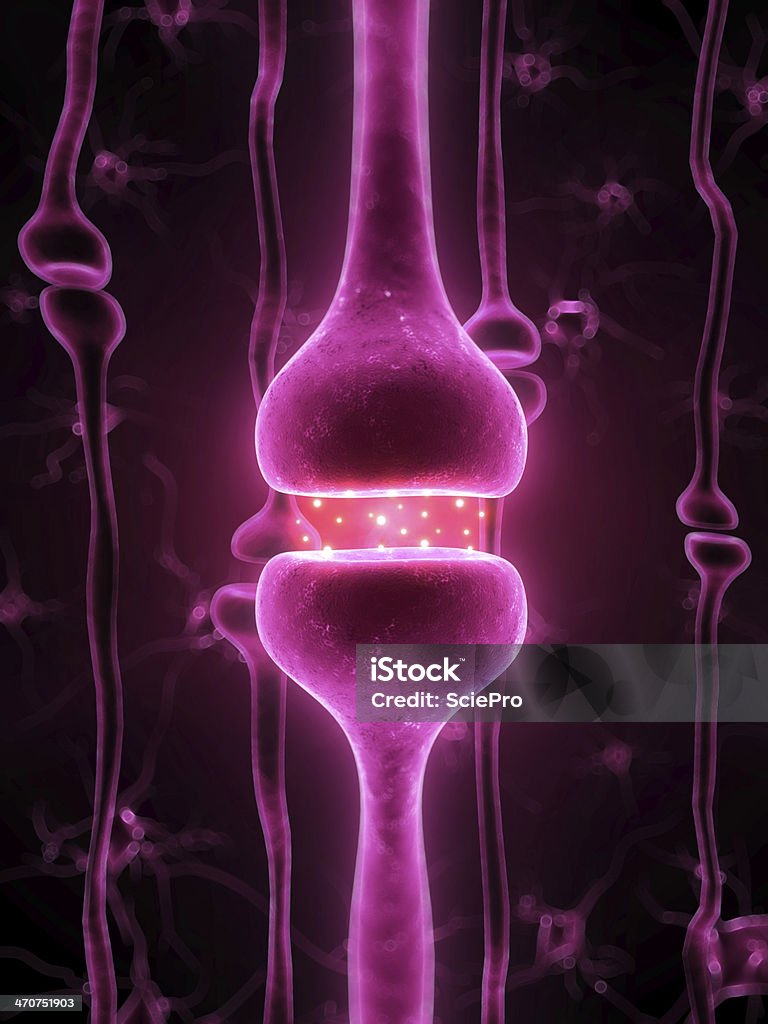 Aktywne receptor - Zbiór zdjęć royalty-free (Anatomia człowieka)