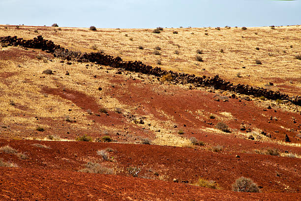 istock volcanic stone lanzarote  spain  timanfaya  rock    summer 470752097
