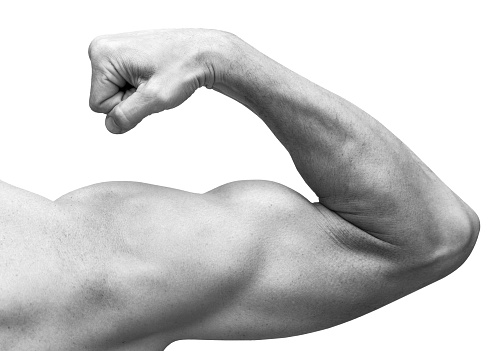 Strong male arm shows biceps. Close-up black and white studio photo isolated on white