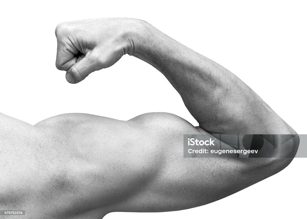 Strong male arm shows biceps. Close-up black and white Strong male arm shows biceps. Close-up black and white studio photo isolated on white Strength Stock Photo