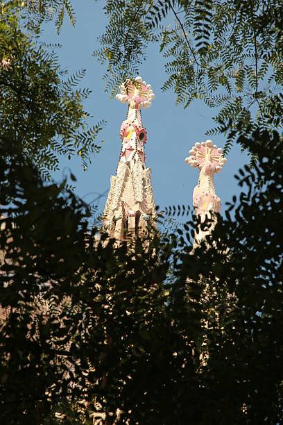 barcelona sagrada famila - sagrada famila стоковые фото и изображения