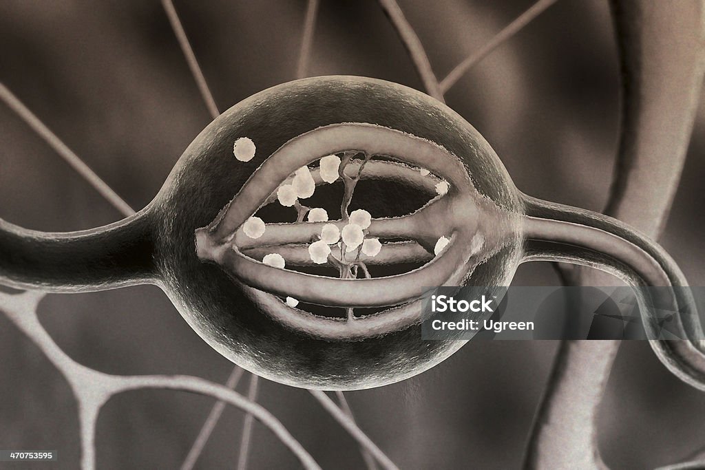 Neuron - Zbiór zdjęć royalty-free (Anatomia człowieka)