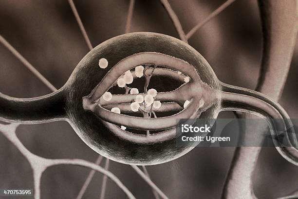 Neuron - zdjęcia stockowe i więcej obrazów Anatomia człowieka - Anatomia człowieka, Aura, Biochemia