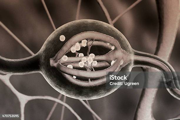Нейрон — стоковые фотографии и другие картинки Анатомия - Анатомия, Аура, Биология