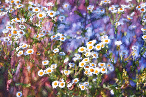 istock Digital art, oil paint effect, wild daisies flowers field, romantic 470755900