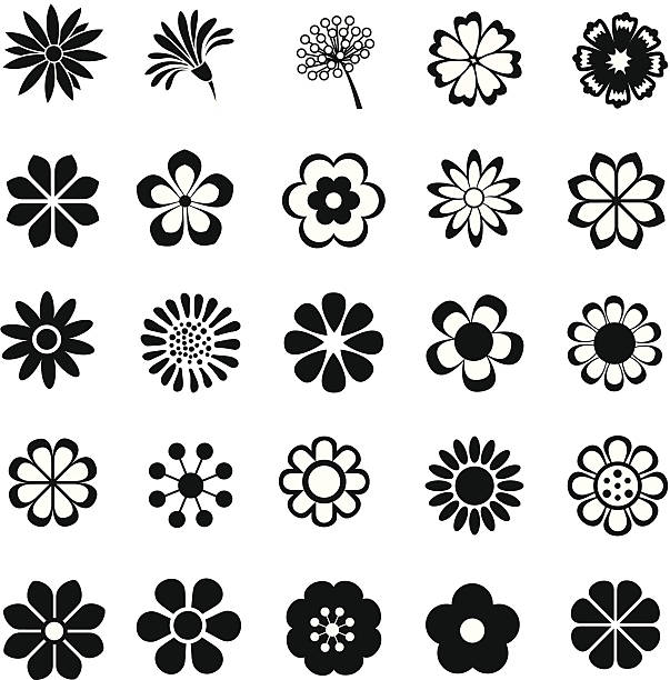 ilustraciones, imágenes clip art, dibujos animados e iconos de stock de vector conjunto de flores - beauty in nature beauty black flower head
