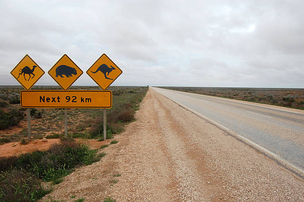 istock Road sign in Australia outback 470760452