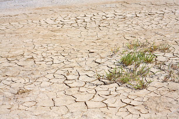 istock Dried and Cracked Earth of the Drought 470761002