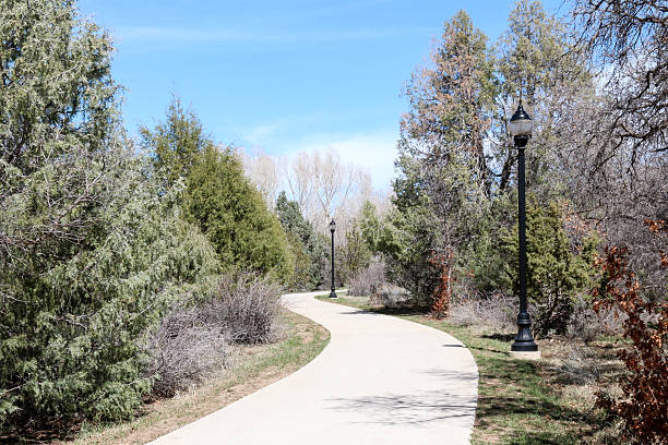 istock Curving concrete trail through trees with street lamps 470761636