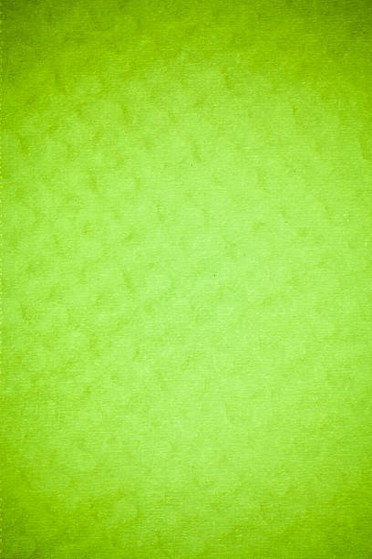 istock Green mulberry paper. 470763638