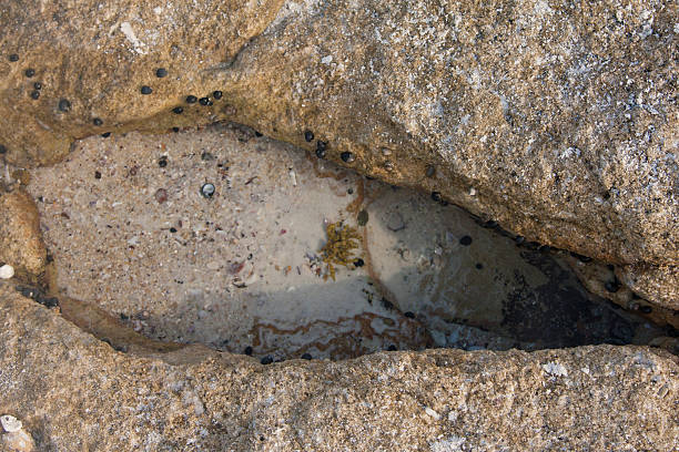 istock Jervis Bay National Park 470765937