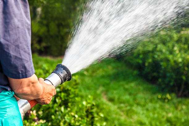 istock men hand watering the plants 470766996