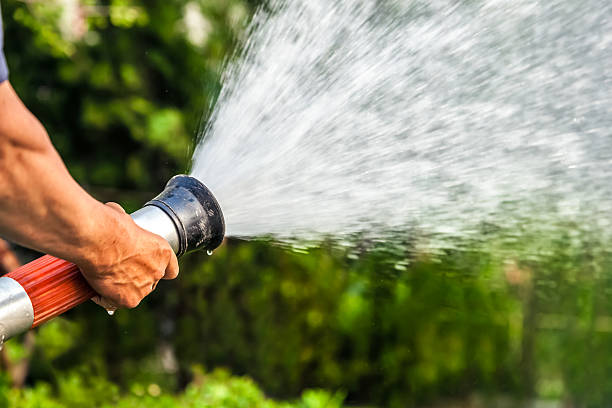 istock men hand watering the plants 470767000