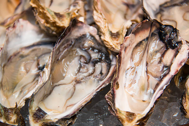 istock Close up on oyster in ice. 470769482