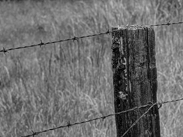 istock Rustic Fence in Black and White 470769724