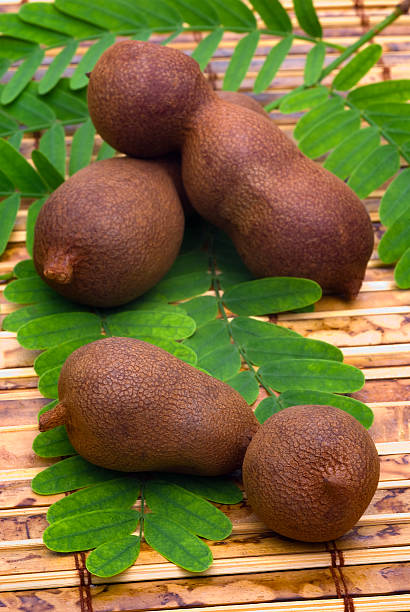 Tamarind (Tamarindus indica) pods and leaves