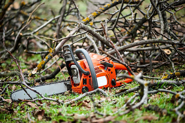 istock Gasoline professional chainsaw cutting branches against wood bac 470773077