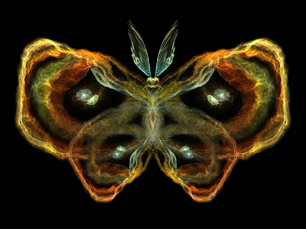 istock Elegance of Butterfly 470773283