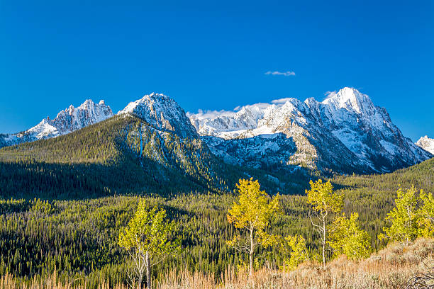 istock Mountain scene with a forest and snow 470776197