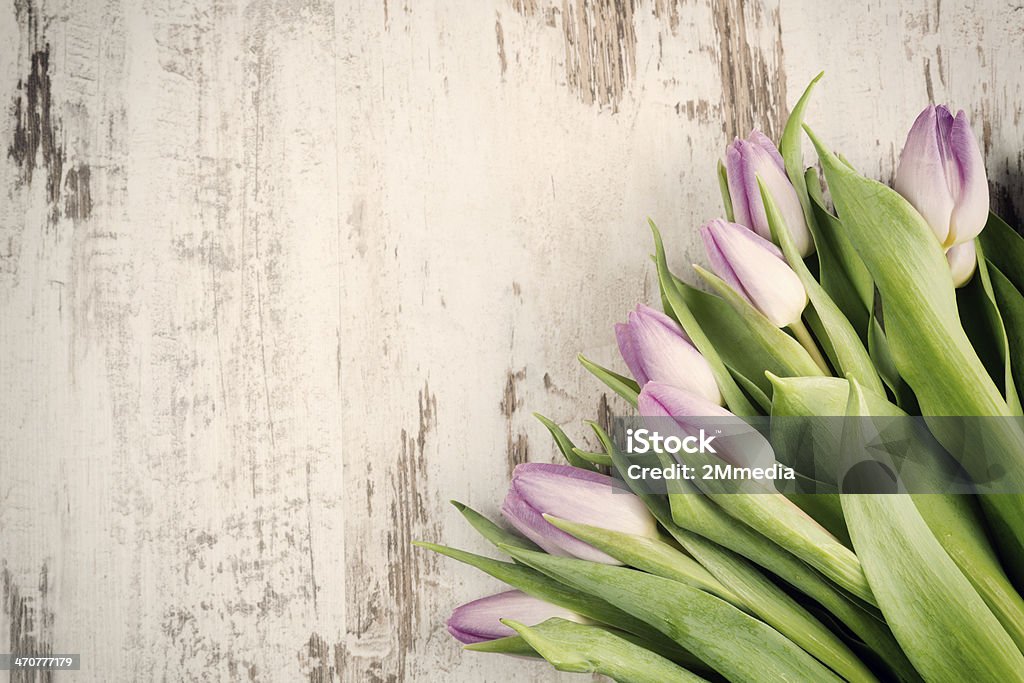 Tulipani - Foto stock royalty-free di Colore verde