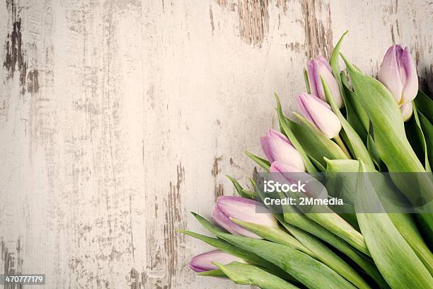 Tulipani - Fotografie stock e altre immagini di Colore verde - Colore verde, Composizione orizzontale, Culture