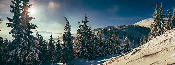 istock Morning in Carpathian mountains. Dragobrat 470777920