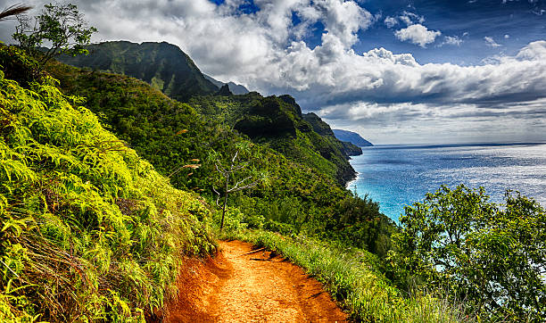 istock Kalalau Trail, Hawaii 470779182