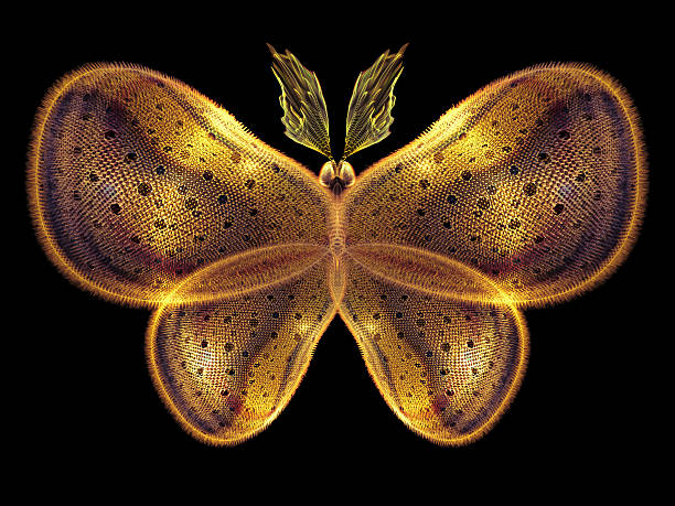 istock In Search of Butterfly 470779791
